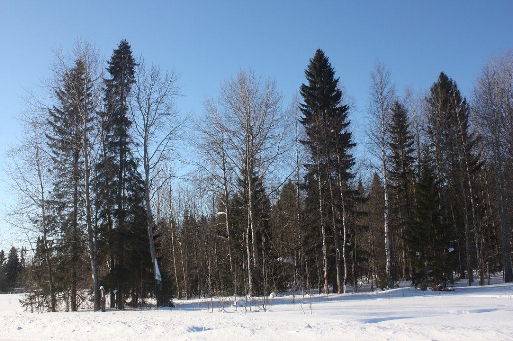 Ледовый городок 116.jpg Ледовый городок 116.jpg